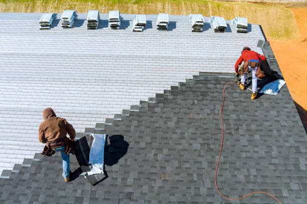 Roof Gutter Cleaning in Mont Clare, PA